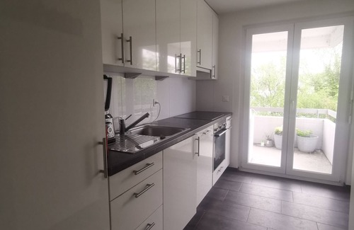 Horgen District Apartamento | Lake view & access designer apartment