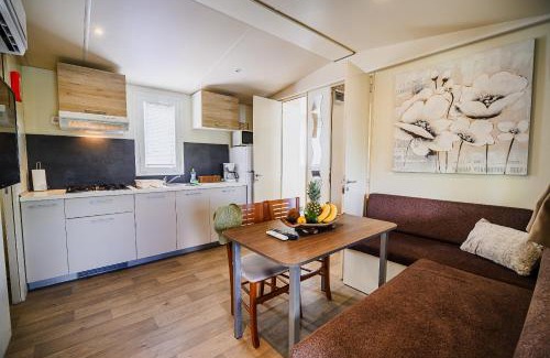 Terme Catez Apartamento | Lake View Mobile Homes with Thermal Riviera Tickets in Terme Čatež