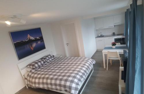 Horgen District Casa | Lake View Private Studio