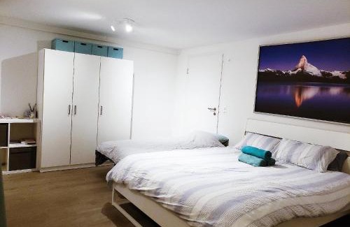 Horgen District Casa | Lake View Private Studio