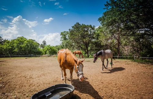 Lake Whitney Complejo | Lake Whitney Camping Resort Cabin 1