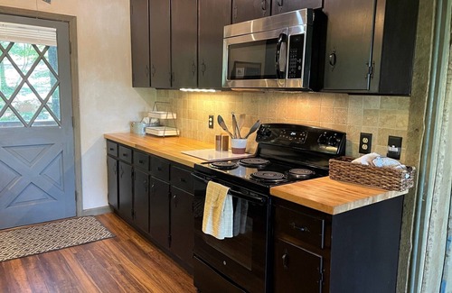 Reed Creek Cabina | Lakefront cabin in quiet cove on Lake Hartwell