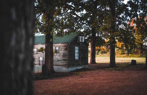 Mead Casa | Lakefront Cedar Cabin - 6
