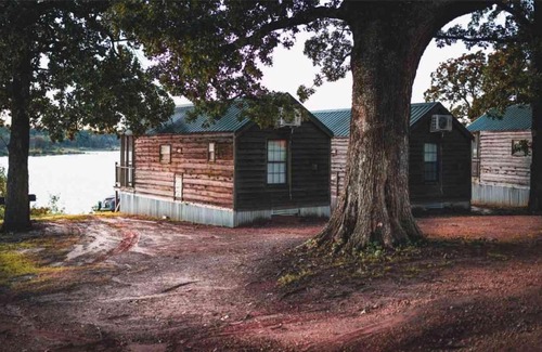 Mead Casa | Lakefront Cedar Cabin - 9