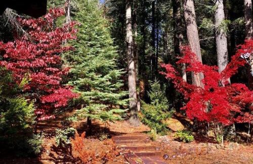 Nevada City Casa | Lakefront Chalet Nevada City