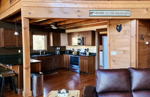 Butler Cabina | Lakefront Lullaby-Rustic cabin w/ lake views, boatslip, hot tub & fiber internet