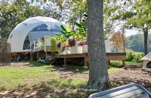 Jackson Cabina | Lakefront romantic getaway with hot tub