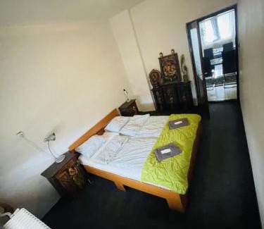 Bekecs Apartamento | LakePark Garden Villa with swimming pool & park