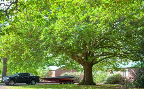 Camperdown Complejo | Lakes and Craters Holiday Park