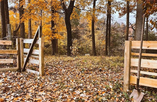 Burlington Cabaña | Lakeside Artist Retreat minutes from Elon U, Gboro & RDU! Pvt beach, deck & more