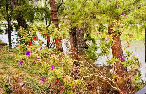 Nuwara Eliya Villa | Lakeside Cottage by Clover