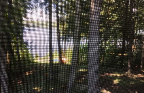 Enfield Casa | Lakeside Cottage Retreat