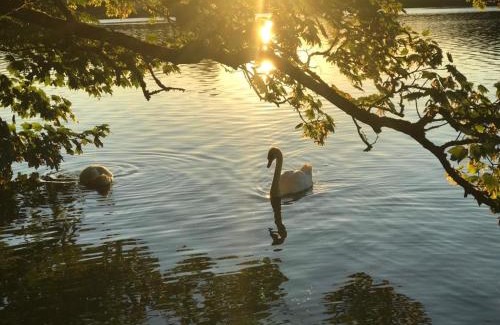 Bantry Apartamento | Lakeside Lookout Bantry