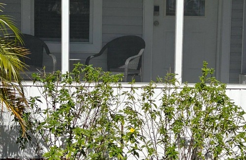 Babson Park Cabaña | Lakeview Cottage Escape. Close to BOK Tower Gardens, Legoland and Disney