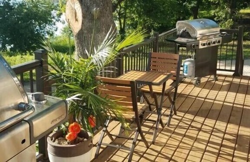 Delhi Casa | Lakeview Living - SUNROOM SUITE - Vacation Rental
