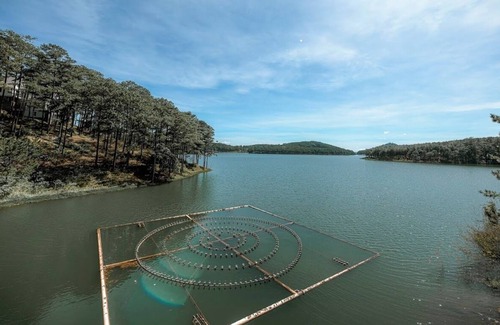 Da Lat Villa | Lakeview Villa! Middle of a green pine forest