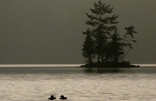 Rideau Lakes Chalet De Esquí | Lakewood on Opinicon Lake- Chaffey's Lock