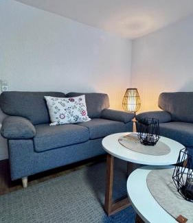 Sorpetal Apartamento | Landferienwohnung Simon
