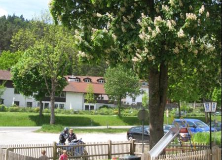 Dietfurt Casa | Landgasthof Zum Wolfsberg