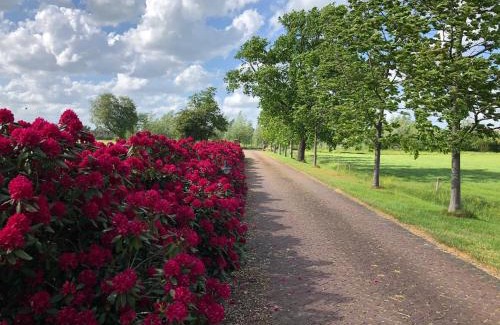 Hall Apartamento | Landgoed De Blaauwe Blaer