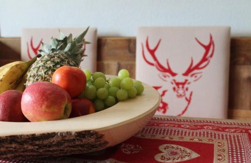 Lermoos Apartamento | Landhaus Lenauer