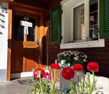 Gaschurn Apartamento | Landhaus Lerch