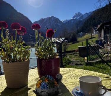 Gaschurn Apartamento | Landhaus Lerch
