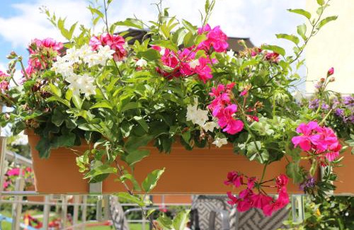 Bad Mingolsheim Apartamento | Landhaus Maria