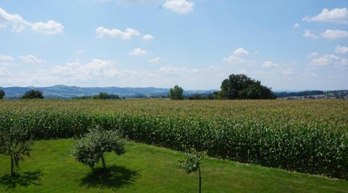 Steinakirchen am Forst Apartamento | Landhaus Schaidreith
