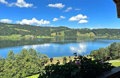 Immenstadt im Allgaeu Apartamento | Landhaus Sinz über'm See