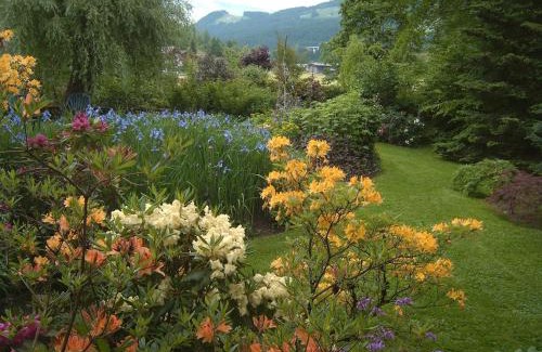 Kitzbuehel Apartamento | Landhotel Eva