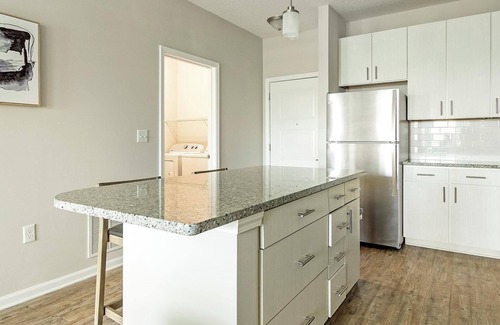 Land O' Lakes Apartamento | Landing | Stylish 1BD, Gym, Clubhouse