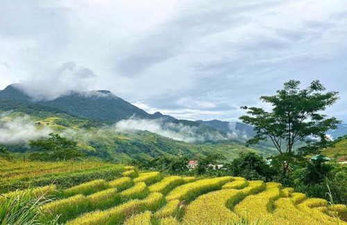 Kon Tum Casa | Lang Ho Homestay - Coffee