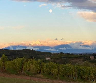 Mango Apartamento | Langhe da cartolina