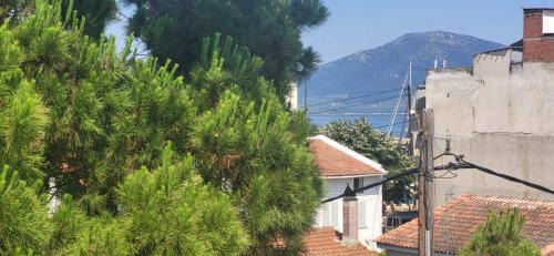 Istiaia-Aidipsos Apartamento | Lantzos Studios