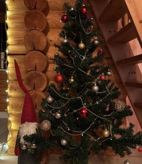 Ranua Chalet De Esquí | Lapin Villa Hiisi joen rannalla