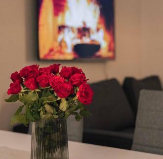 Rovaniemi Apartamento | Lapinmaa Apartments