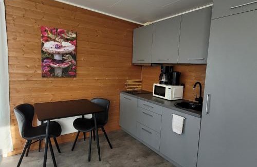 Lavangen Cabina | Lapphaugen Turiststasjon