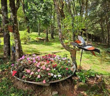 Monte Verde Casa | Lareira forno e fogao a lenha nas montanhas