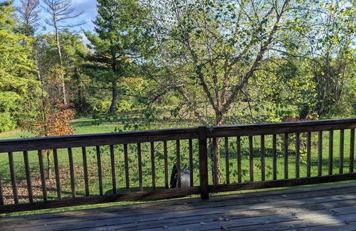Addison Apartamento | Large 1-Bdrm+ Apartment Surrounded by Nature in Rural Vermont