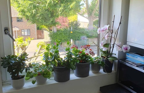 Horsham Apartamento | Large 1 Bedroom Flat With Fitted Kitchen and a Leather Sofa Chair