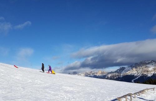 Carano Apartamento | Large apartment with terraces in Val di Fiemme