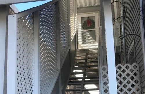 Village of Lakewood Otro | Large Charming Vintage Apartment, Dog friendly, Walk Everywhere!