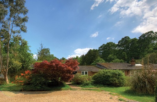 New Forest District Cabaña | Disponible para los AÑOS NUEVOS! Celebra con hasta 24 o 30 personas en New Forest