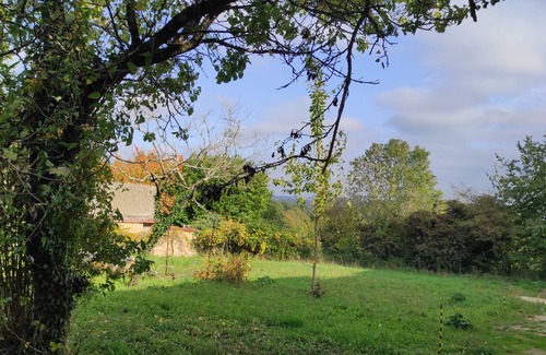 Champdeniers Casa | Large country house at the gateway to the Green Venice.