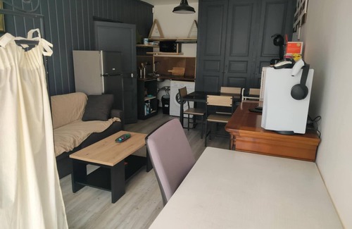 Lestiou Apartamento | Large, fully-equipped studio 10 minutes from Chambord, on the Loire cycle route