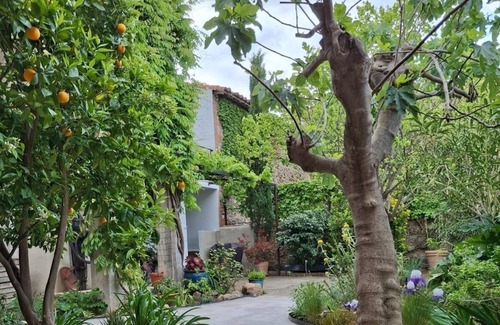 Terrats Casa | Casa amplia renovada al estilo catalán, en el corazón de un viñedo en medio del