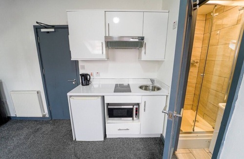 Selly Oak Apartamento | Estudio-Grande-Baño con ducha-Studio 8