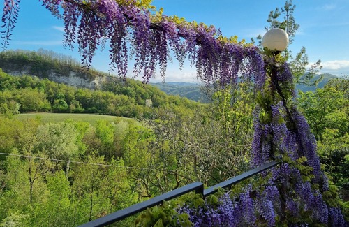 Cavatore Apartamento | Large vacation apartment in Piedmont surrounded by nature
