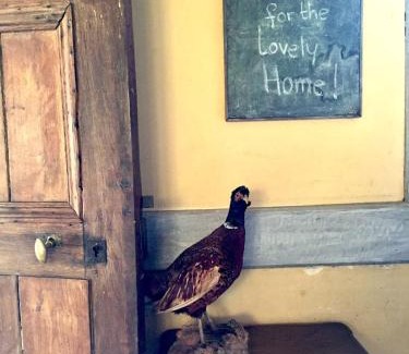 Bouvresse Casa | Large, welcoming house, full of character and charm